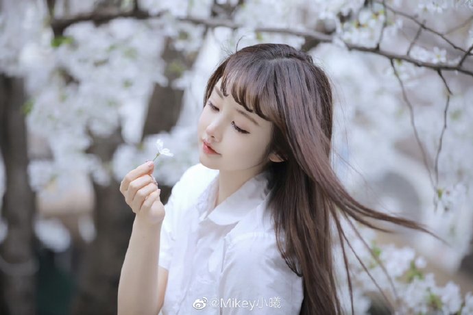 寻梦环游记