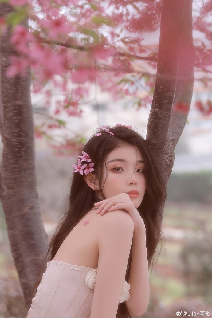 甄嬛传 封面